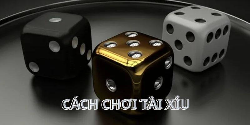 Cách chơi tài xỉu - hướng dẫn từ cơ bản đến nâng cao