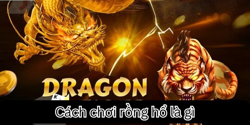 Khái niệm và cách chơi rồng hổ