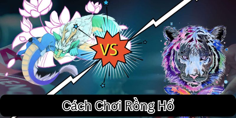 Cách Chơi Rồng Hổ: Hướng Dẫn Chiến Thuật Bất Bại