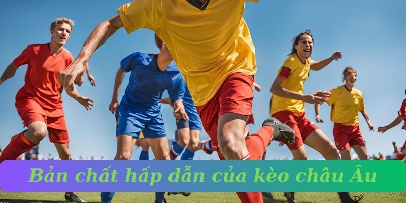 Bản chất hấp dẫn của kèo Châu Âu