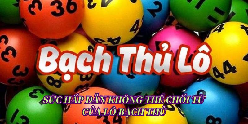 Sức hấp dẫn không thể chối từ của Lô bạch thủ