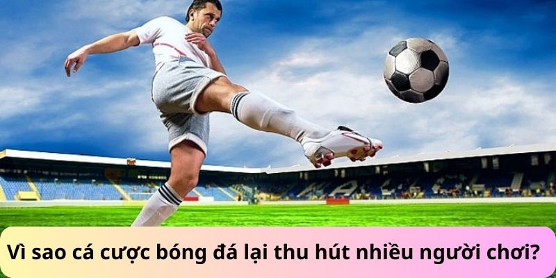 Vì sao cá cược bóng đá lại thu hút nhiều người chơi