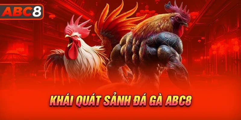 Đá Gà ABC8 - Bắt Kèo Kịch Tính Nhận Thưởng Khủng Từ Hệ Thống