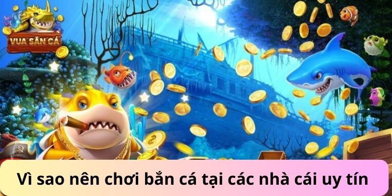 Vì sao nên chơi bắn cá tại nhà cái uy tín